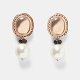 Best lady Fashion ZA Resin Drop Earring